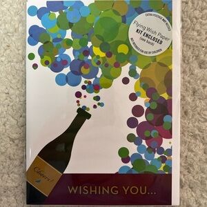 Flying Wish Paper "Wishing You" Cheers Greeting Card Kit